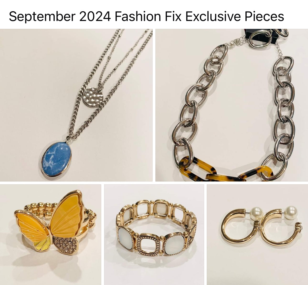 Fashion Fix Exclusives Sept  2024 E005